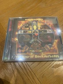 Badly Drawn Boy The Hour of Bewilderbeast