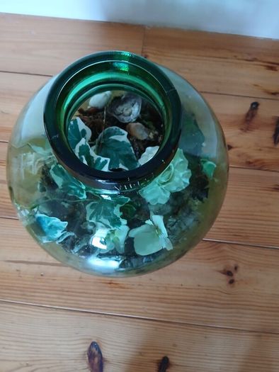 Vintage Viresa Terrarium from 1960s or 1970s.  Green Verdi Glass.
