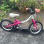 Little Big Bike Image 3