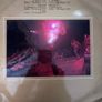 Deep Purple vinyl lp Irish pressing Image 2