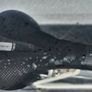 Ladies. Raleigh Candice Vintage Road Bike Image 6