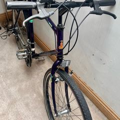 Raleigh Ascender Mountain Bike