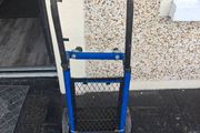 2 in 1 trolley and buggy