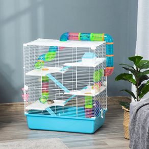 hamster