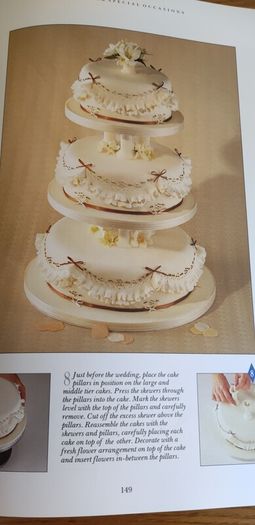 The Practical Encyclopedia of Cakes & Cake Decorating by Pickford, Murfitt (Paperback, 2000)