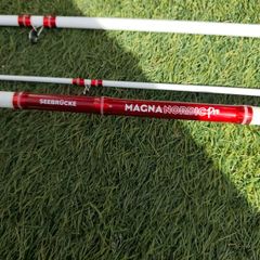 BALZER Magna Nordic Pro Pier 3.6m up to 180g