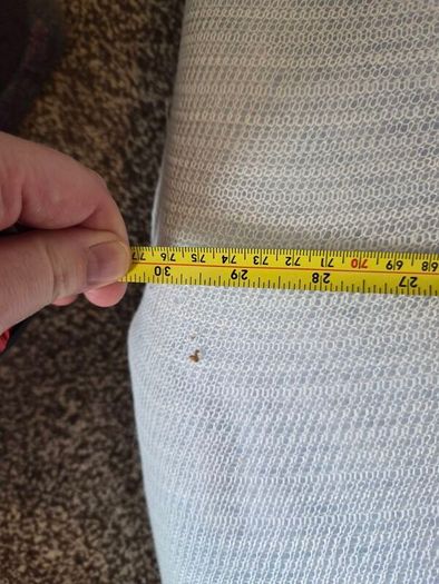 free upholstery foam