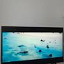 Sony Bravia X75WL 43inch 4K Smart TV (Google TV) Image 2
