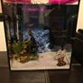 fish tank aquarium Image 2