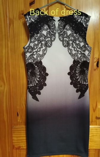 Dorothy Perkins Dress Brand New
