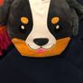 Dunnes cushion present Image 3