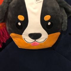 Dunnes cushion
