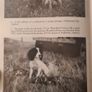 The Working Spaniel. By Keith Erlandson. FIRST EDITION. How To Choose. Train. Work. And Trial Your Dog. Hardback With Dustjacket In Good Condition. Image 10