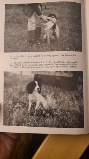 The Working Spaniel. By Keith Erlandson. FIRST EDITION. How To Choose. Train. Work. And Trial Your Dog. Hardback With Dustjacket In Good Condition.