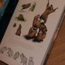 The Art of Rio Book Image 3