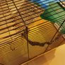 Large hamster cage - gerbil mouse rat rabbit guinea pig crate kennel  house Image 4