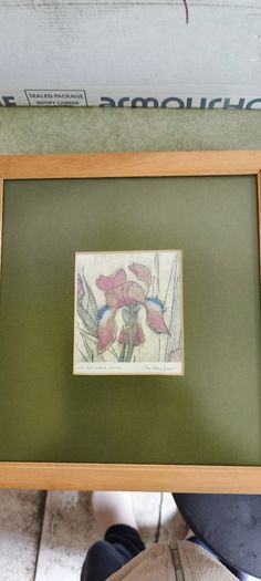 FRAMED DETAIL IRIS RAINBOW FANTASY penceled and coloered signed by artist .