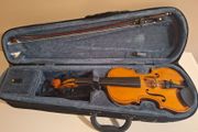 Violin