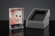 Solid glass frame for picture