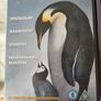 Four DVD's Fantasia (new) Goofy / March if the Penguins  & Nemo. Image 3