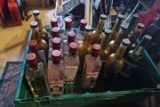 job lot dummy bottles