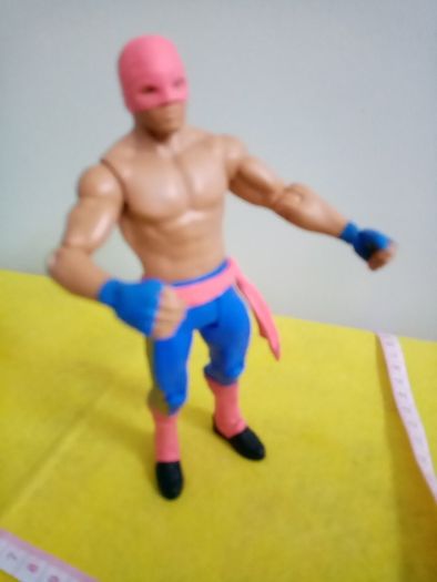 WWE Wrestlers Wrestler Action Figure