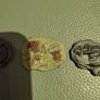 Set of 5 resin fossils Image 7