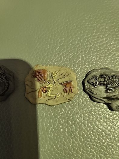 Set of 5 resin fossils