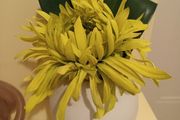 Faux flower in vase from Next