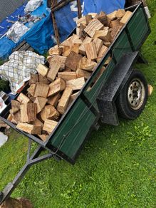 Seasoned ash firewood