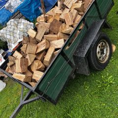 Seasoned ash firewood