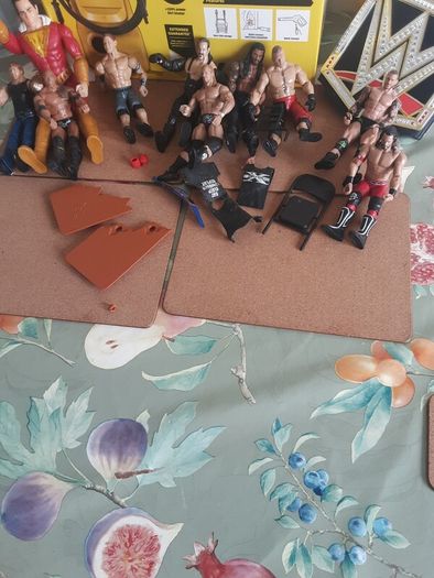 Wrestling Figures