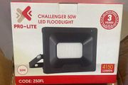 50W Flood Light 4000K