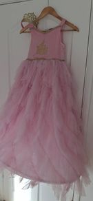 Princess Dress with crown