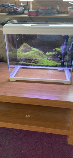 aquarium 27 litre fully equipped