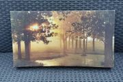 Beautiful Canvas Picture