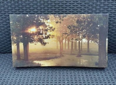Beautiful Canvas Picture