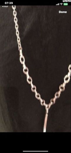 costume necklace Bnwt long silver necklace Bnwt