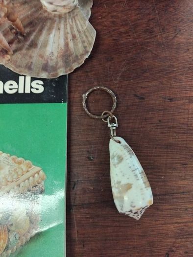 Vintage Shell Art