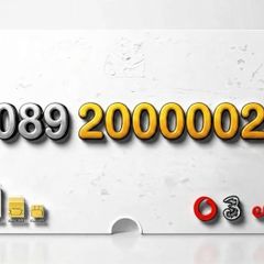 ULTRA PREMIER GOLD NUMBER:  2-00000-2   An absolute masterpiece of mathematical symmetry and a rare digital asset for your business or personal brand