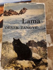 Lama  Derek Taynge. 1966 First Edition Hardback With Dustjacket 37.