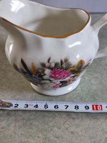 Royal Tara Bone China Milk Jug