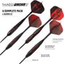 NEW SALE | Thunder | 48 Piece Steel Tip Dart Set with 21g/22g/23g/24g Barrels, Flights and Aluminium Image 6
