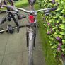 Ridgeback Bike Image 2