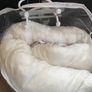 pregnancy pillow with its cover Image 2