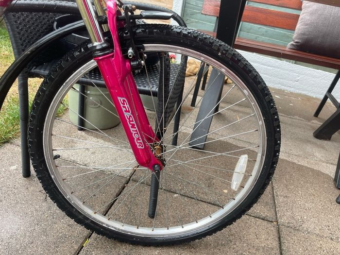 women's pink raleigh bike