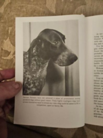 This Is The German Pointer. Shorthaired& Wirehaired. By Louise Zeigler Spirer & Herbert F.spirer. First Edition Hardback In Good Condition.  See Photos For Same.