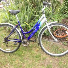 Hybrid Bike