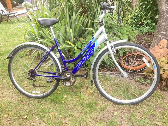 Hybrid Bike