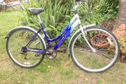 Hybrid Bike